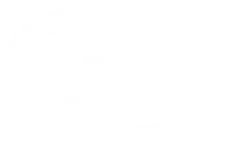 Safe t cert logo