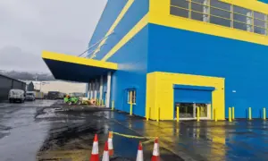 Job